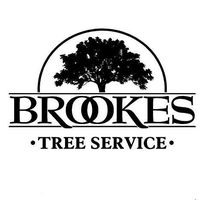 108042202 123985886030075 4157609669702332478 n 1.jpg nc cat104ccb2 nc siddbb9e7 nc ohccoAZQnJ7vDsAX qwr1A nc htscontent iad3 1 1