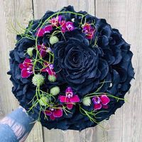 117590491 10158754609272904 4867774436045900710 n 2.jpg nc cat106 nc siddbb9e7 nc ohc l5wk6zMQLYAX8QFWJs nc htscontent iad3 1 2