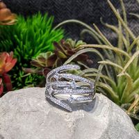 118327742 10164016275565564 2945482231662049219 o 2.jpg nc cat110 nc siddbb9e7 nc ohcJjfdKzL1qv8AX9NQrPY nc htscontent iad3 1 2