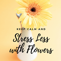 118766174 3378778192211406 8118791440278267327 n 2.png nc cat108 nc siddbb9e7 nc ohceAB6IBQUidMAX 7PGF9 nc htscontent iad3 1 2