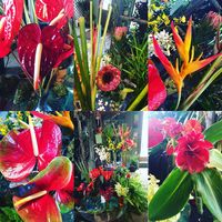 13346215 990275311026831 1555918009333867367 o 2.jpg nc cat109 nc siddbb9e7 nc ohcvD1H2PsxXZgAX HmRoV nc htscontent iad3 1 2