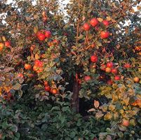 14344957 1399617553399294 8421631237714607218 n 1.jpg nc cat111 nc siddbb9e7 nc ohcUiHAqPs62hEAX rgjQQ nc htscontent iad3 1 1