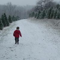 149801 170016169690151 3456997 n 2.jpg nc cat108ccb2 nc siddbb9e7 nc ohci X7ytDRuE4AX8QvjEA nc htscontent iad3 1 2