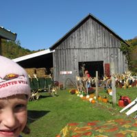 242163 145540558921568 903202243 o 2.jpg nc cat109 nc siddbb9e7 nc ohcoyI0Ed zVKAAX VNten nc htscontent iad3 1 2