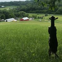 36278622 1806551632724304 8757693918637719552 o 1.jpg nc cat107 nc siddbb9e7 nc ohczvQ8auuxaZEAX hYg59 nc htscontent iad3 1 1