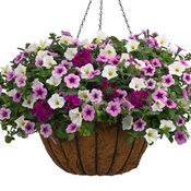 38540464 2199371920090317 1790715528063483904 n 2.jpg nc cat105 nc siddbb9e7 nc ohcslkZkyfJLY4AX9d7abj nc ocAQlzj fdBil7VR6ppsKI 85wrdS3BJl CzhwLa9dpLlpLlu8Lwcc9e5t35AoKSVIBDn4dPG1M6fwVzb7noBqTP7u nc htscontent iad3 1 2