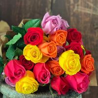 69802141 2681570051874162 8449773544090370048 o 2.jpg nc cat101 nc siddbb9e7 nc ohc5WSoxTrkr2kAX CXHfQ nc htscontent iad3 1 2