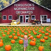 93031510 3050559568315470 6182438399903793152 n 1.jpg nc cat111 nc siddbb9e7 nc ohceHIVF1ONbA0AX8rVg94 nc htscontent iad3 1 1