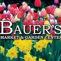 93861312 10157346836369499 6051157750929424384 n 1.jpg nc cat111 nc siddbb9e7 nc ohcQpYUYqAVChcAX KGF0I nc htscontent iad3 1 1