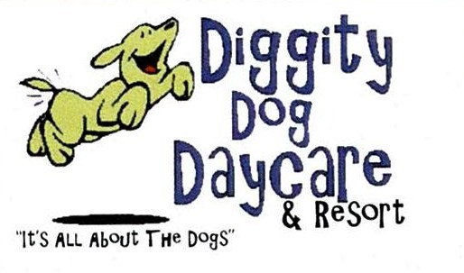Diggity dog daycare