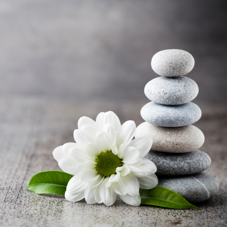 Pictures-for-Events-Page-2024-03-29T152513.896.png Pictures-for-Events-Page-2024-03-29T152513.896.png