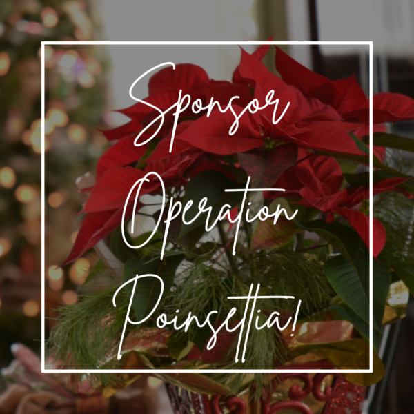 Operation Poinsettia Store Icon