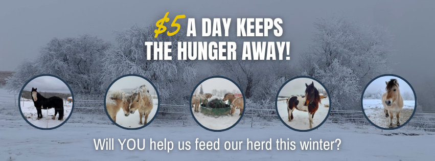 Graphic reading “$5 a Day Keeps the Hunger Away” over a snowy pasture featuring HorseSense’s therapy horses.